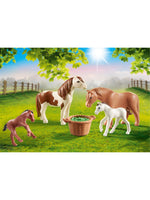 
              Playmobil 70682 Ponies with Foal
            