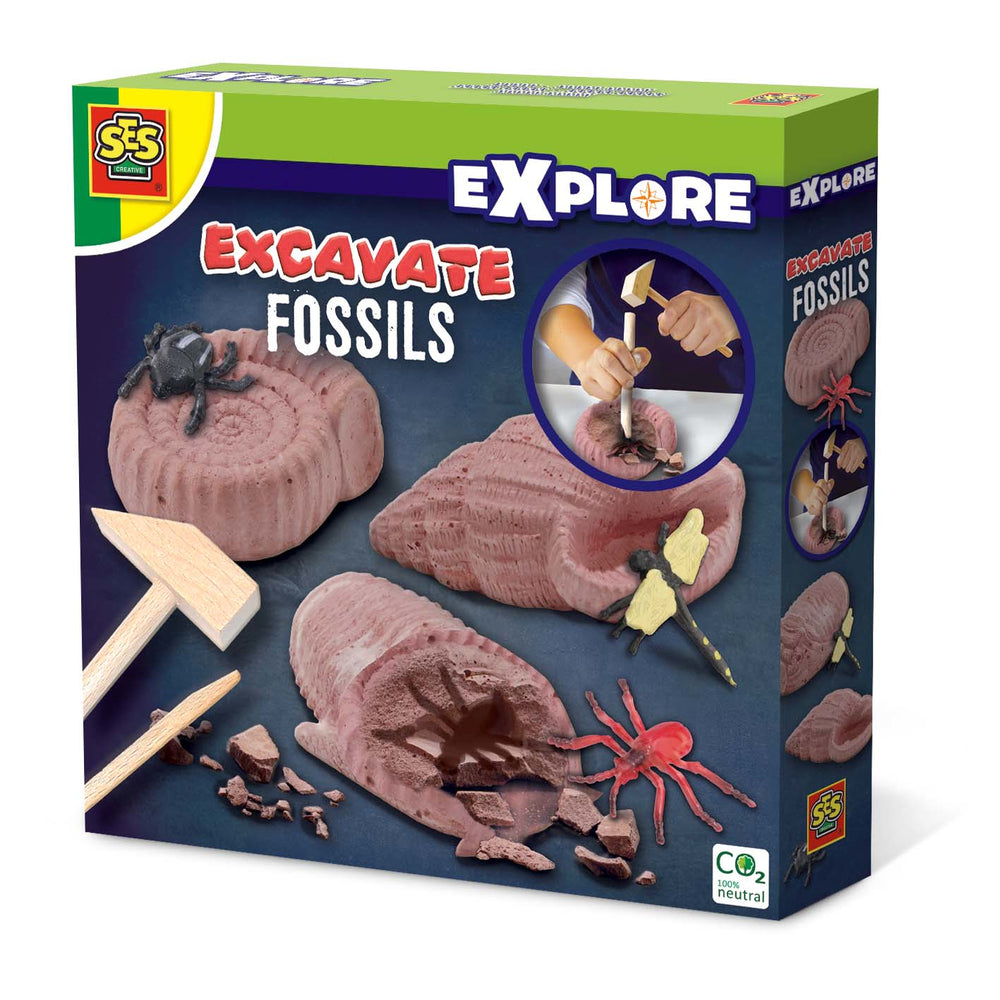 Excavate fossils