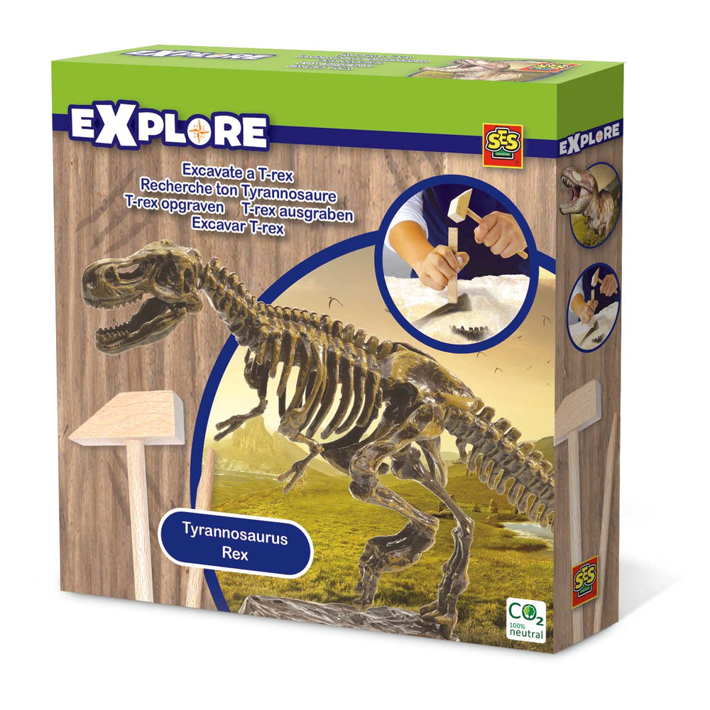 Excavate a T-rex skeleton