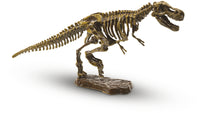 
              Excavate a T-rex skeleton
            