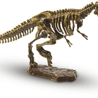 Excavate a T-rex skeleton