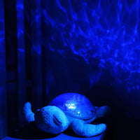 
              CloudB Tranquil Turtle Aqua
            