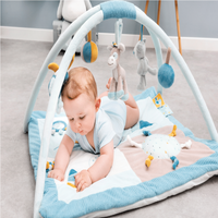 
              Nattou Tim and Tiloo Playmat with Arches
            