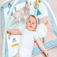 
              Nattou Tim and Tiloo Playmat with Arches
            